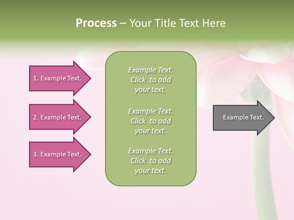 Circle Flower Petals PowerPoint Template