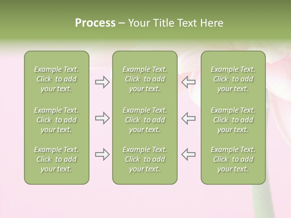 Circle Flower Petals PowerPoint Template