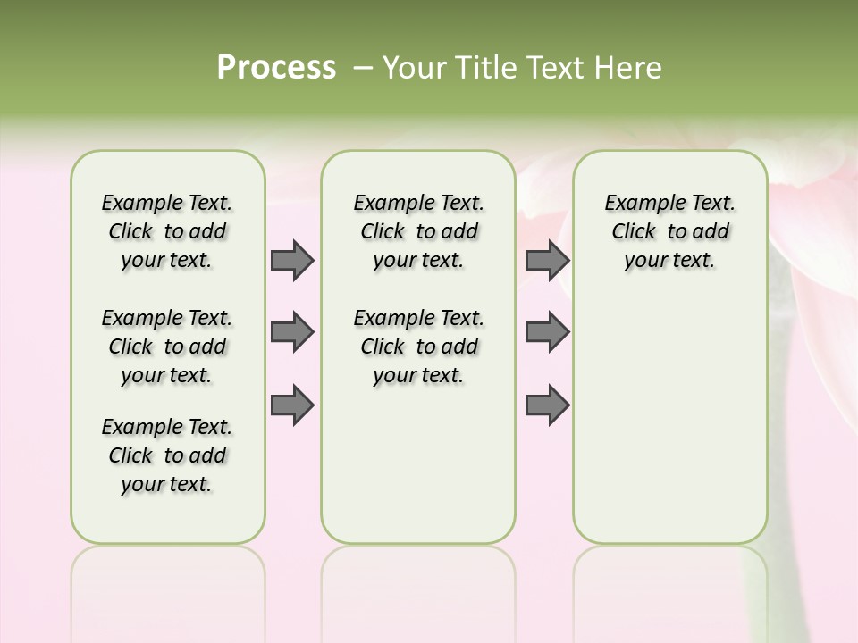 Circle Flower Petals PowerPoint Template