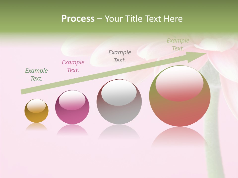 Circle Flower Petals PowerPoint Template