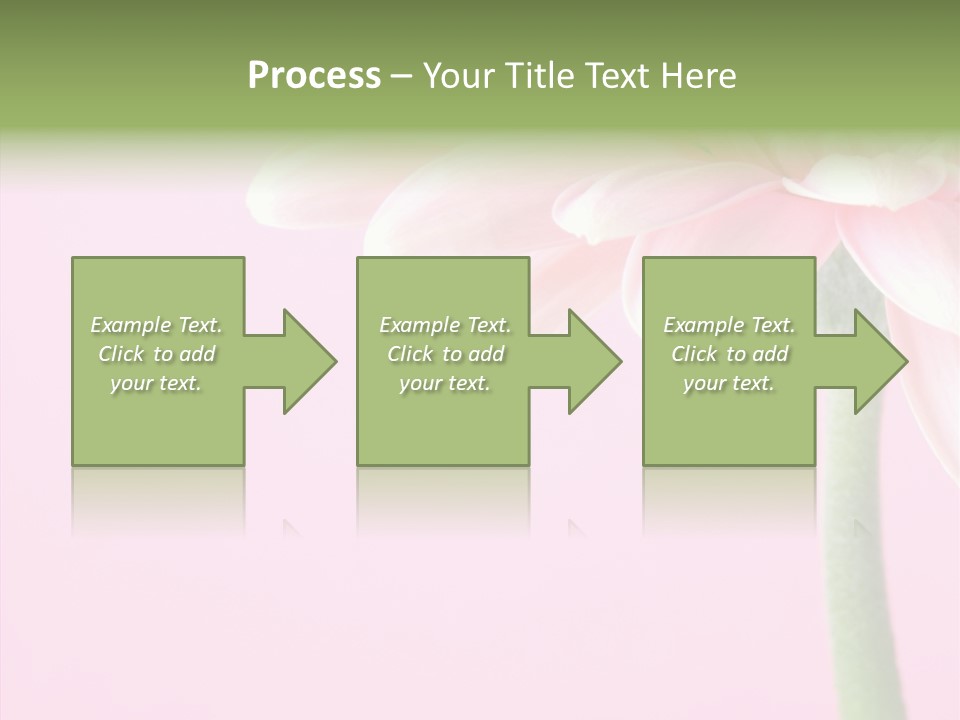 Circle Flower Petals PowerPoint Template