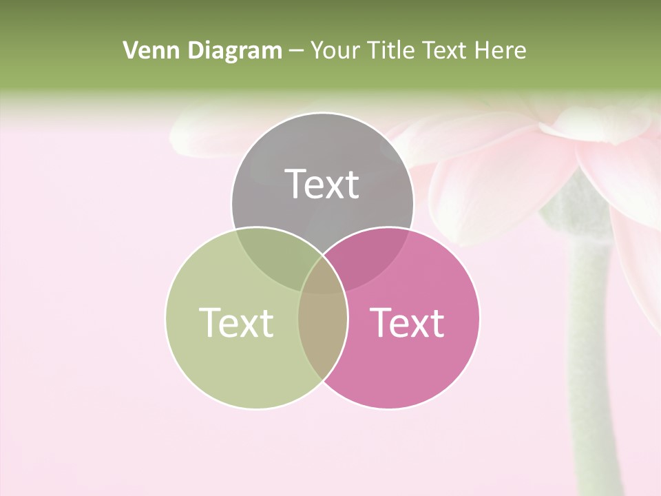 Circle Flower Petals PowerPoint Template