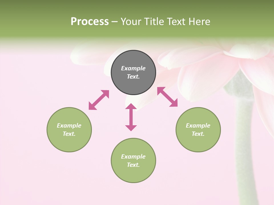 Circle Flower Petals PowerPoint Template