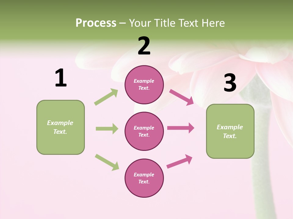 Circle Flower Petals PowerPoint Template