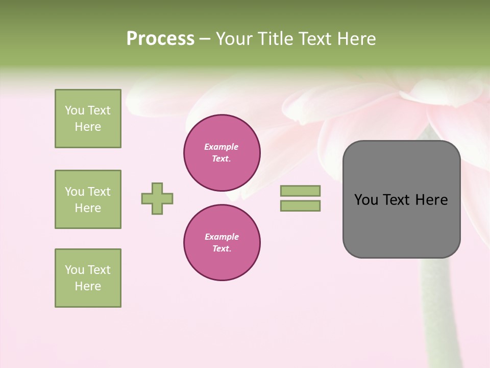 Circle Flower Petals PowerPoint Template