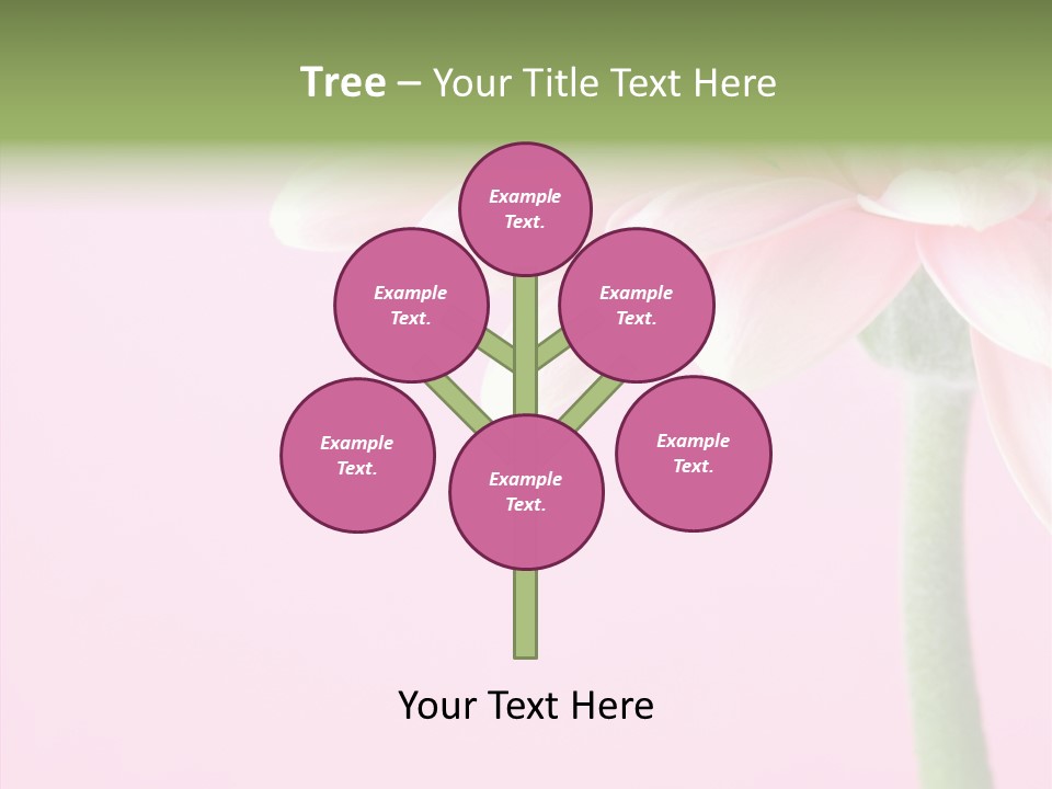 Circle Flower Petals PowerPoint Template