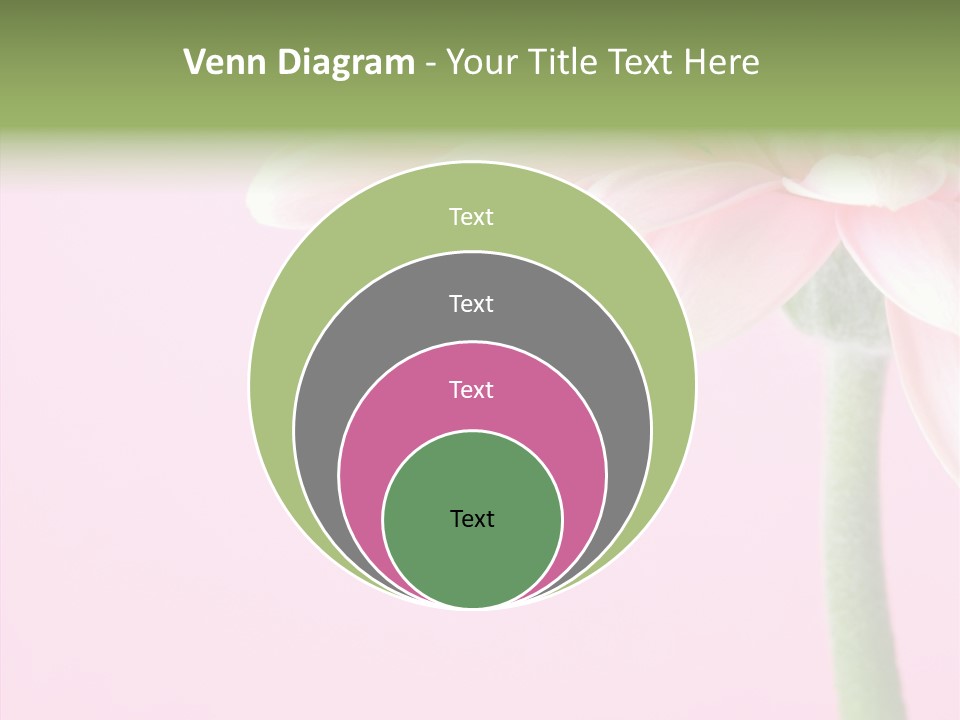 Circle Flower Petals PowerPoint Template