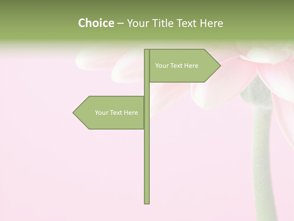 Circle Flower Petals PowerPoint Template