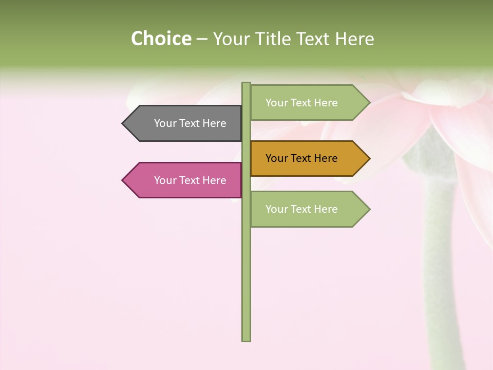 Circle Flower Petals PowerPoint Template