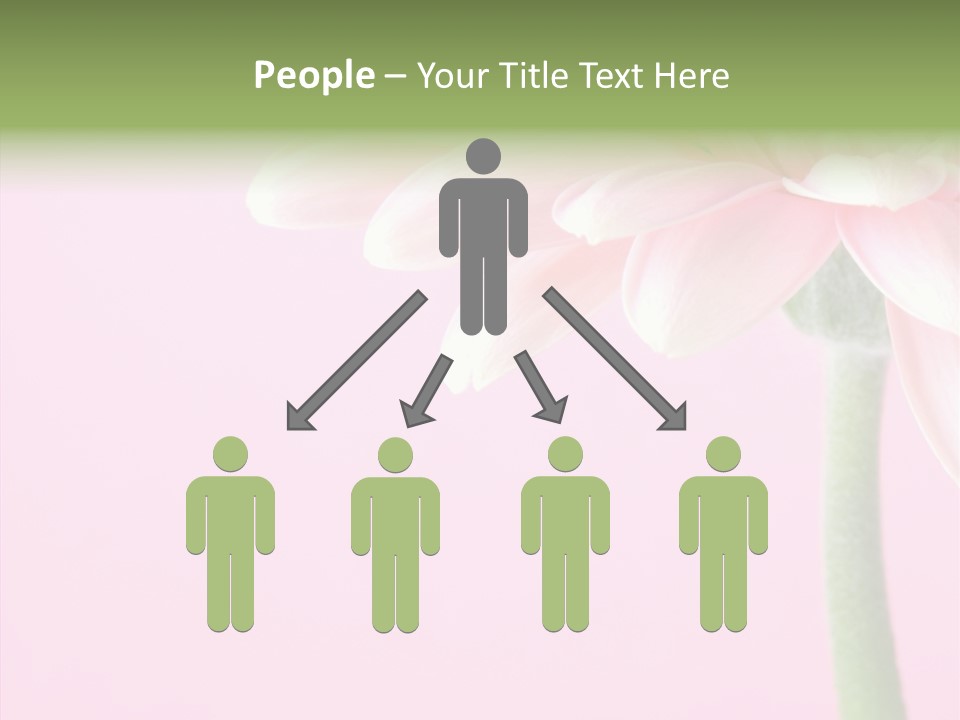 Circle Flower Petals PowerPoint Template