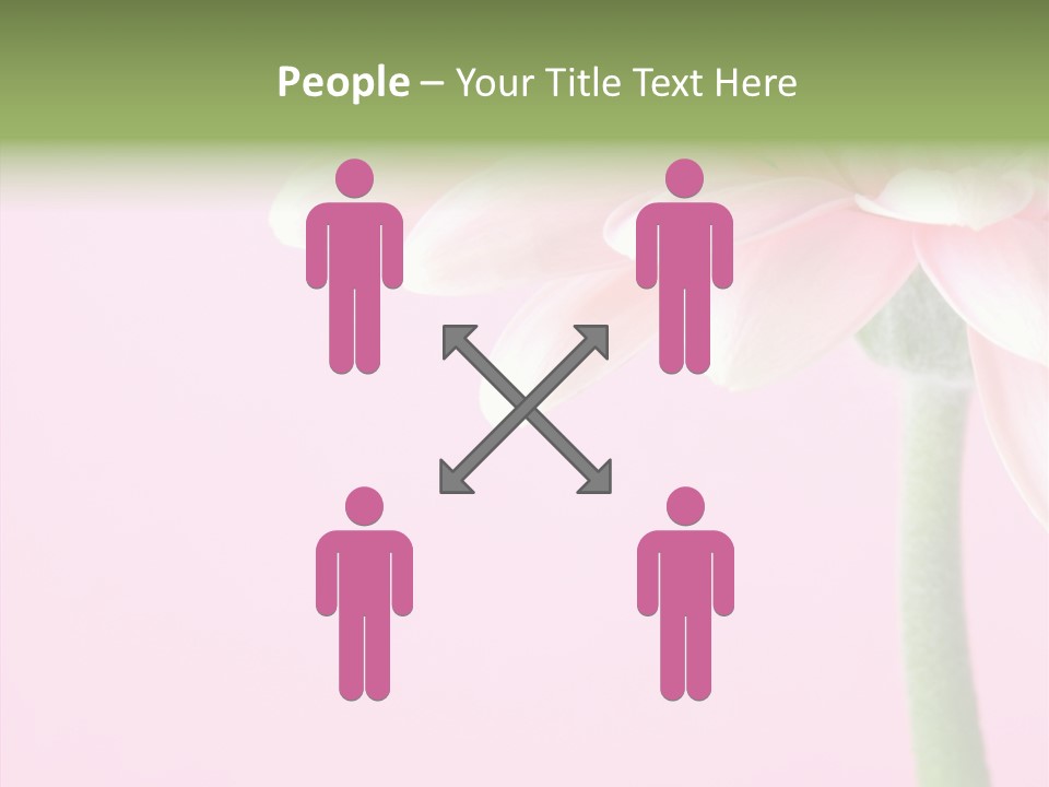 Circle Flower Petals PowerPoint Template