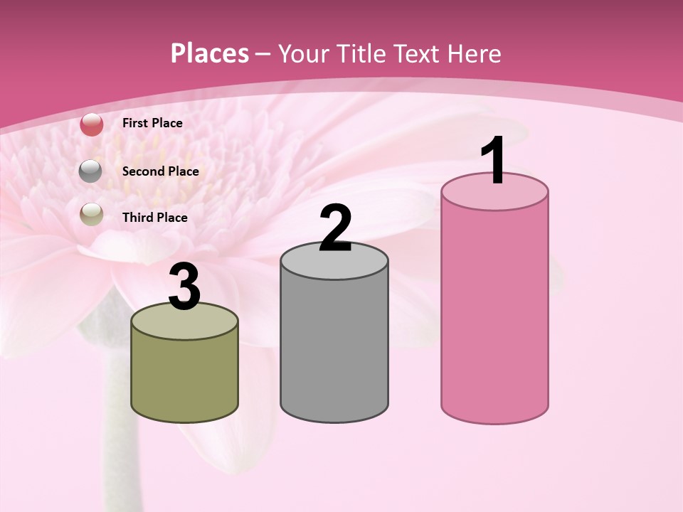 Blossom Circle Gerbera PowerPoint Template