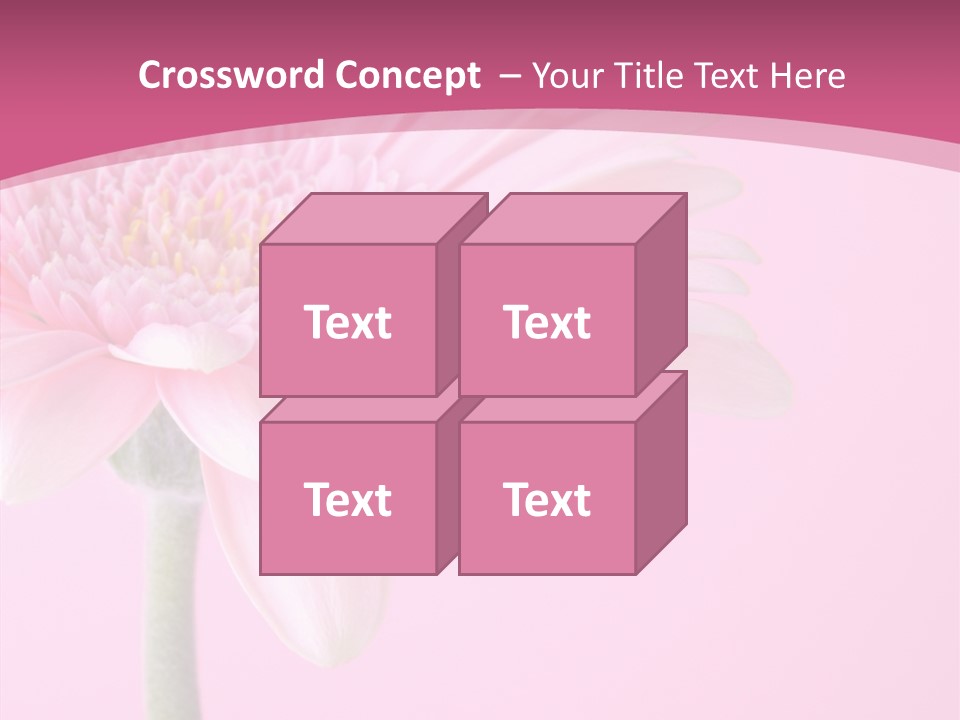 Blossom Circle Gerbera PowerPoint Template
