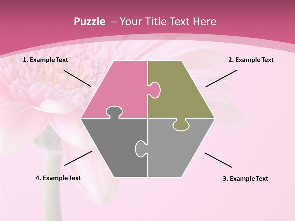 Blossom Circle Gerbera PowerPoint Template