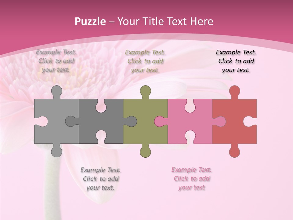 Blossom Circle Gerbera PowerPoint Template