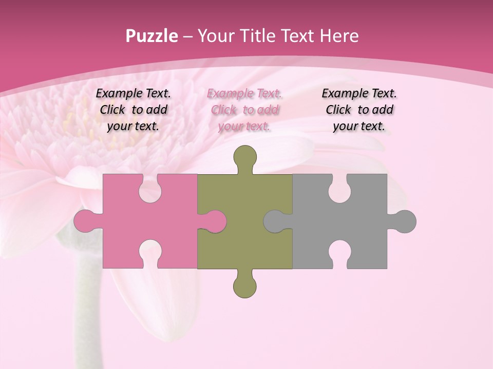 Blossom Circle Gerbera PowerPoint Template