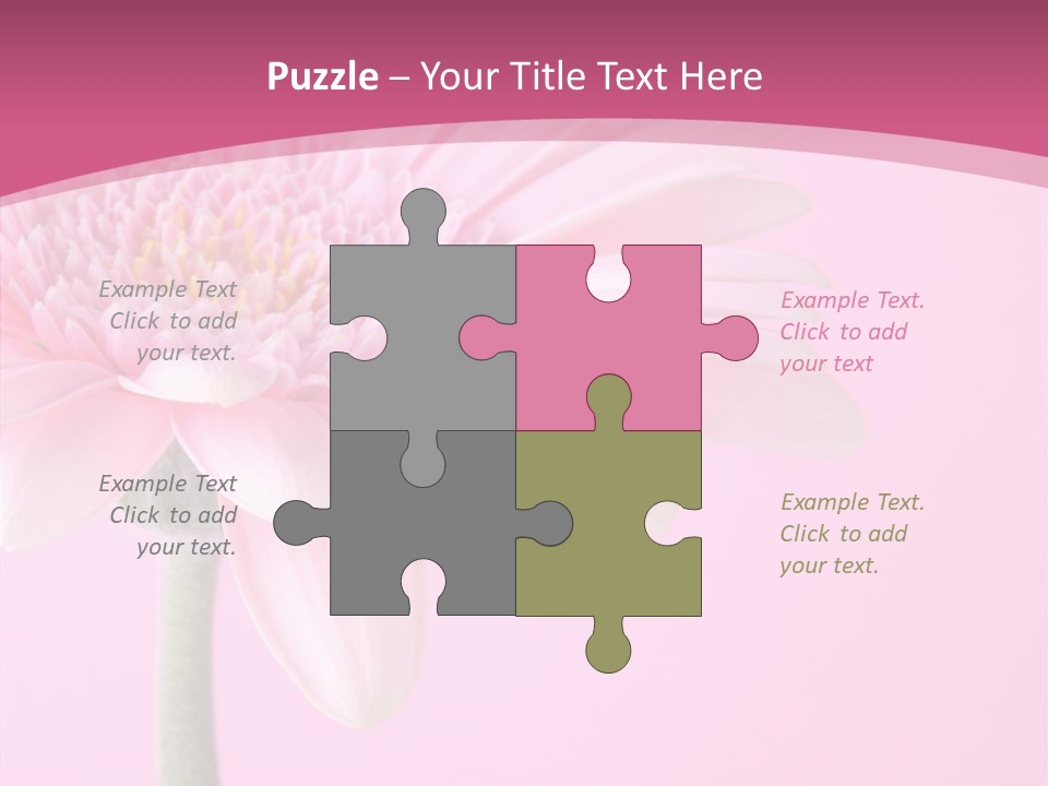 Blossom Circle Gerbera PowerPoint Template