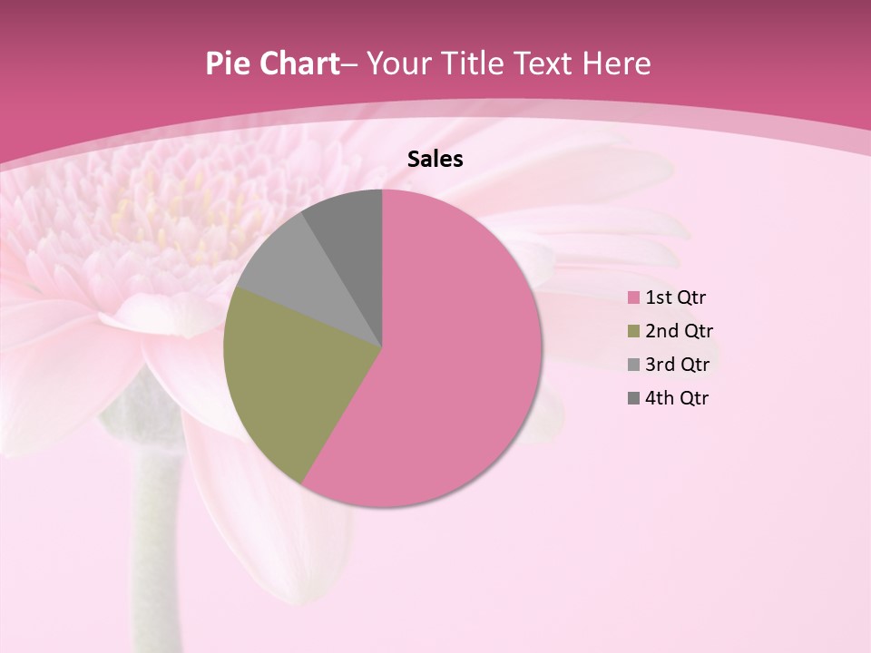 Blossom Circle Gerbera PowerPoint Template