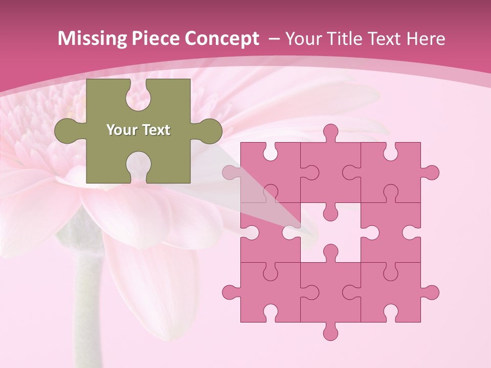Blossom Circle Gerbera PowerPoint Template