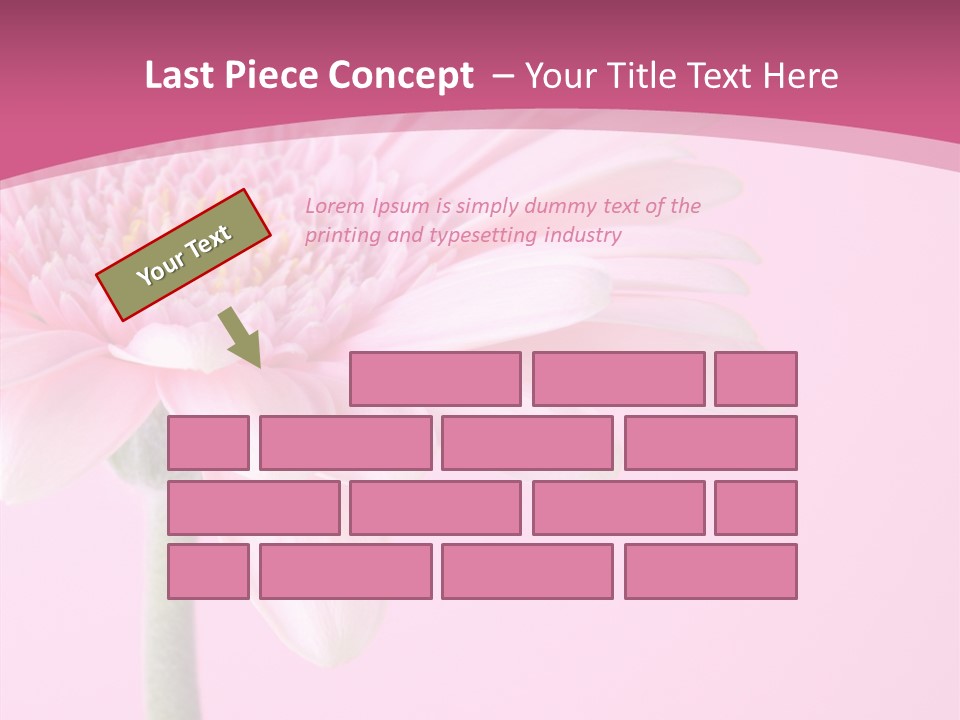 Blossom Circle Gerbera PowerPoint Template