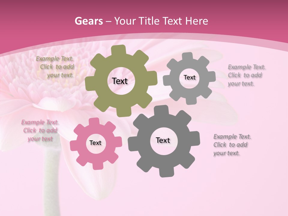 Blossom Circle Gerbera PowerPoint Template