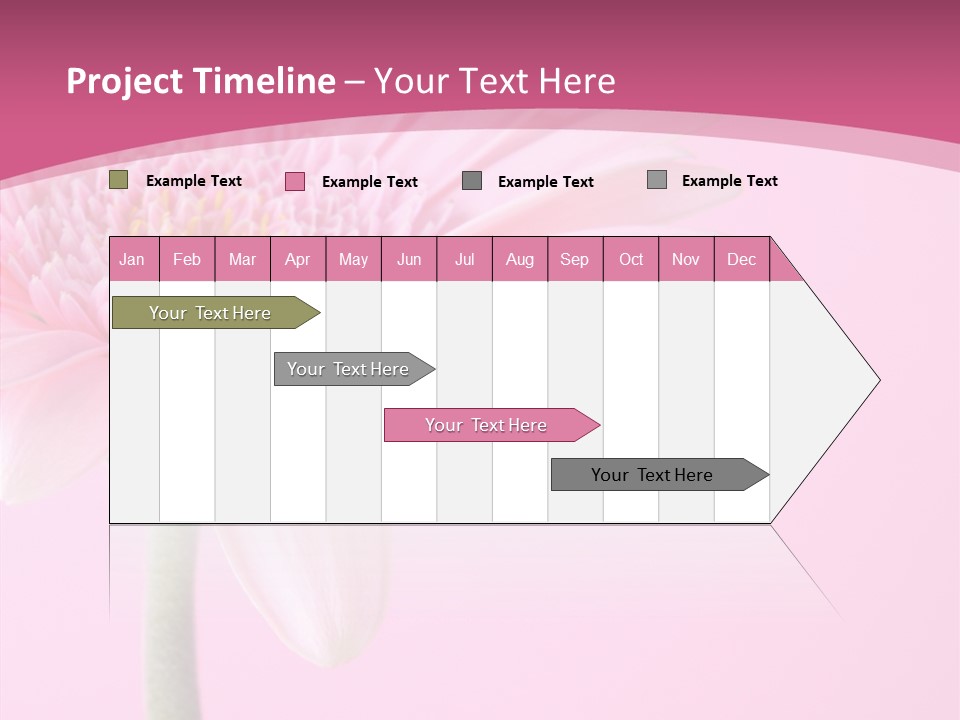 Blossom Circle Gerbera PowerPoint Template