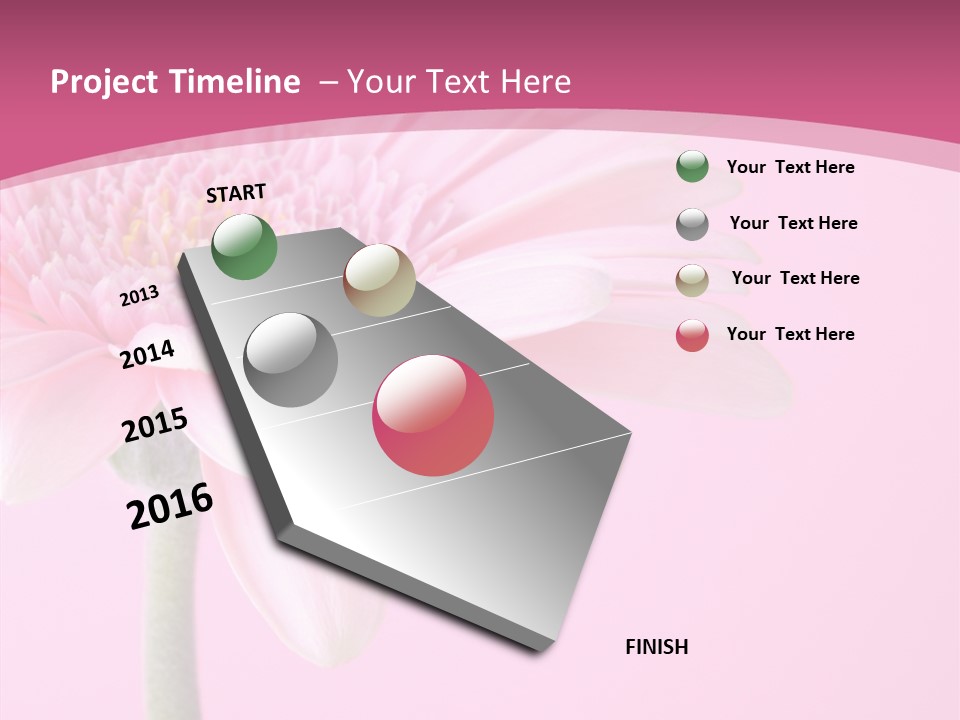 Blossom Circle Gerbera PowerPoint Template