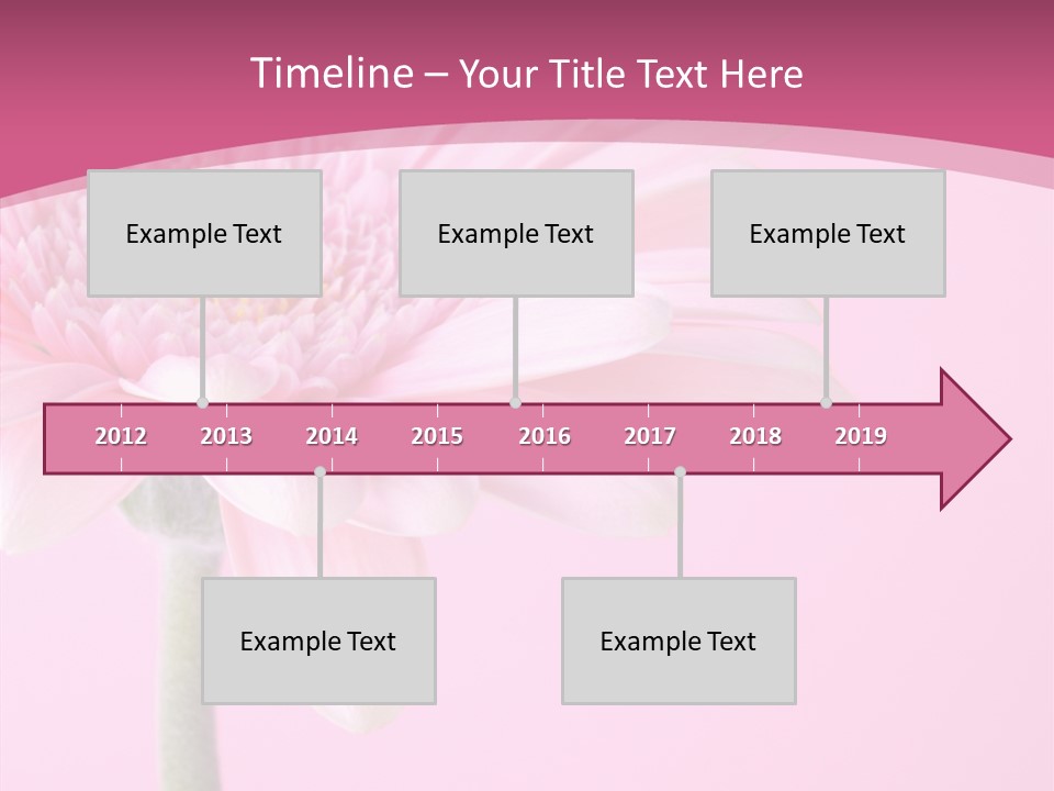 Blossom Circle Gerbera PowerPoint Template