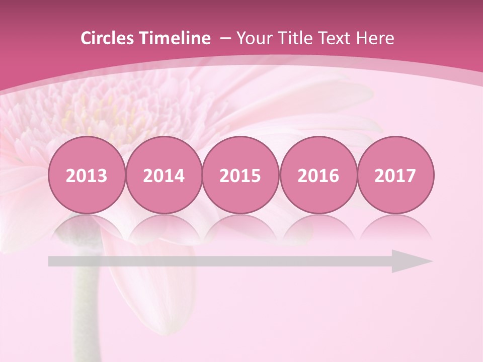 Blossom Circle Gerbera PowerPoint Template