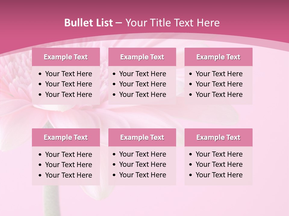 Blossom Circle Gerbera PowerPoint Template