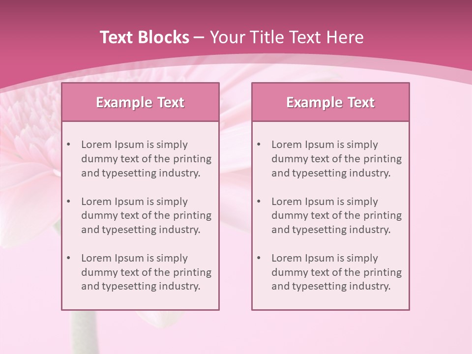 Blossom Circle Gerbera PowerPoint Template