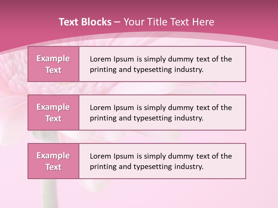 Blossom Circle Gerbera PowerPoint Template
