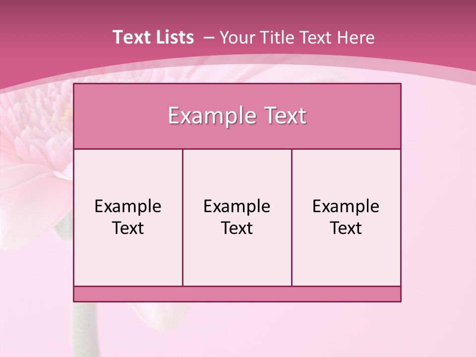 Blossom Circle Gerbera PowerPoint Template