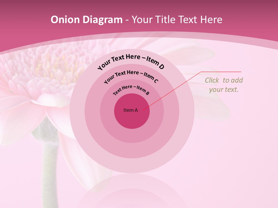 Blossom Circle Gerbera PowerPoint Template