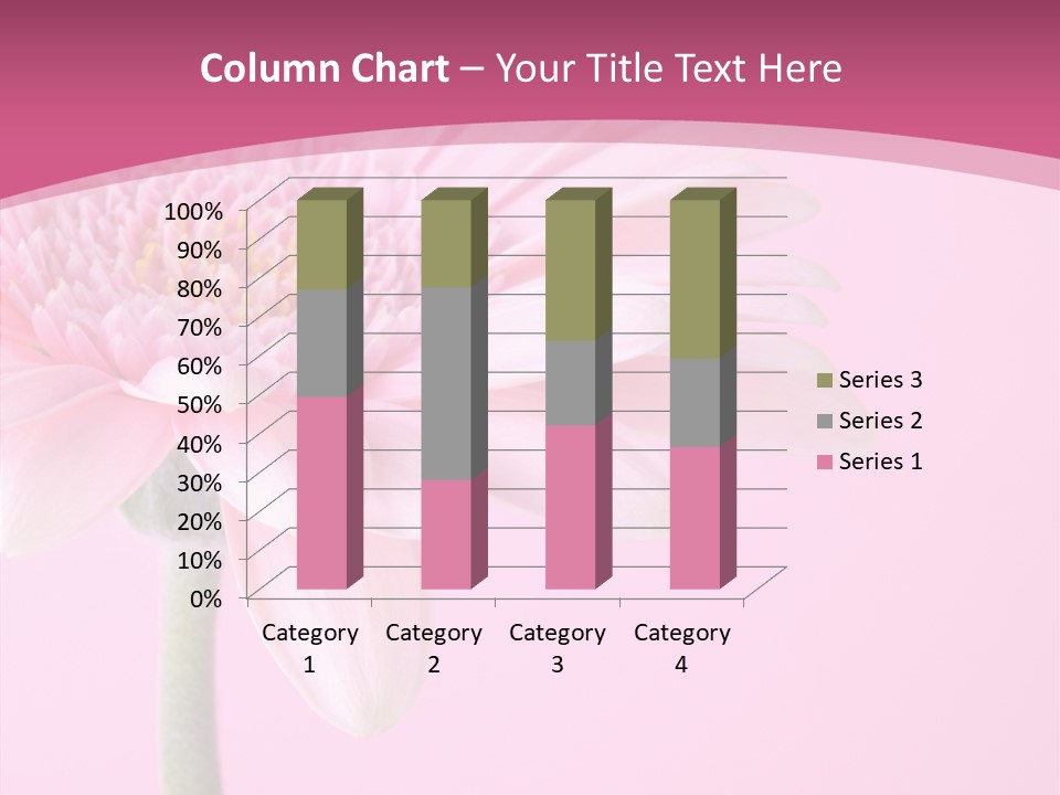 Blossom Circle Gerbera PowerPoint Template