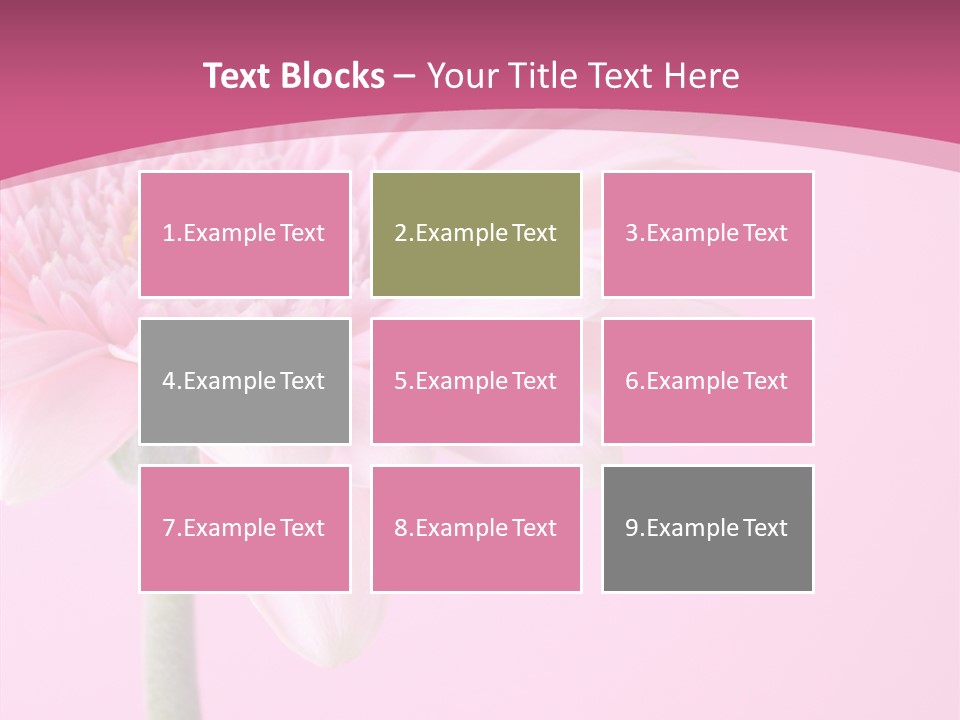 Blossom Circle Gerbera PowerPoint Template