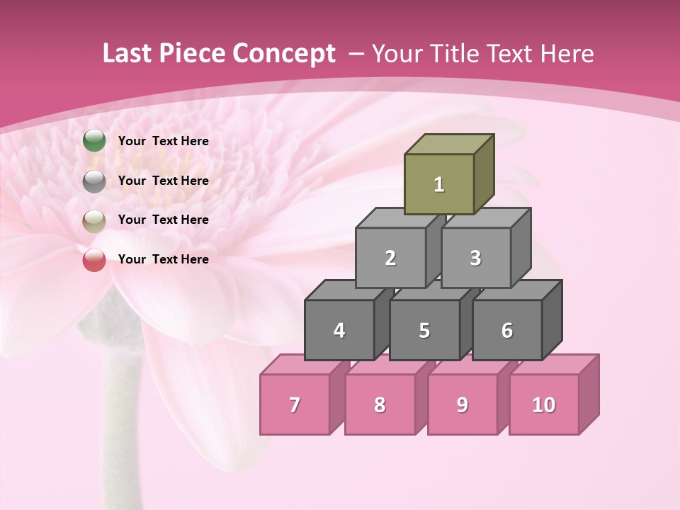 Blossom Circle Gerbera PowerPoint Template