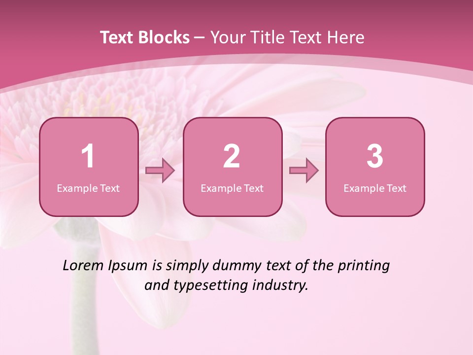 Blossom Circle Gerbera PowerPoint Template