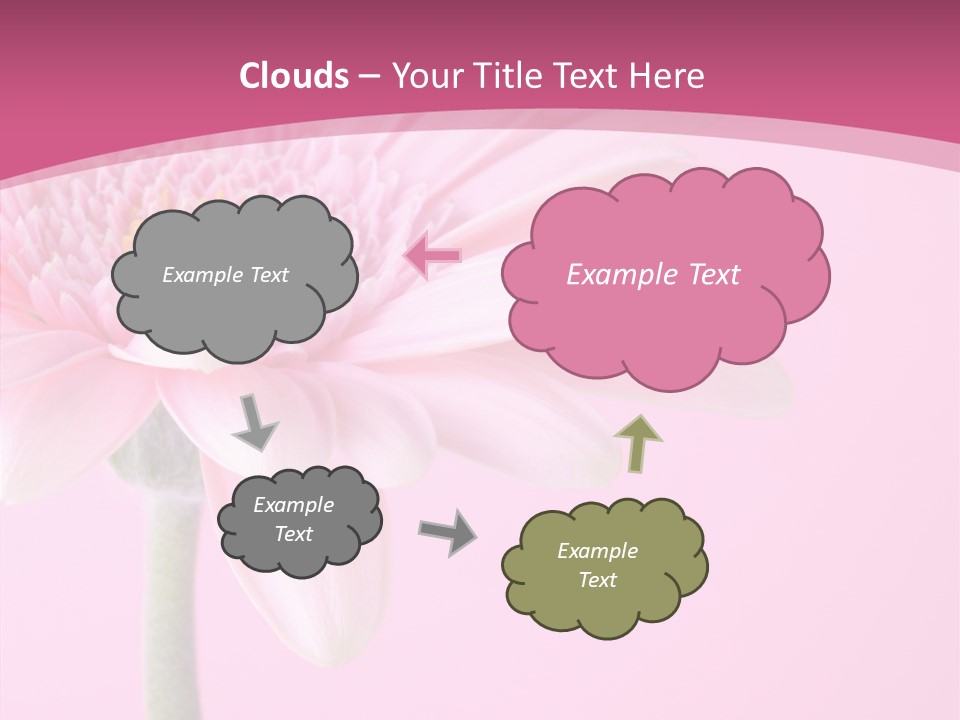Blossom Circle Gerbera PowerPoint Template