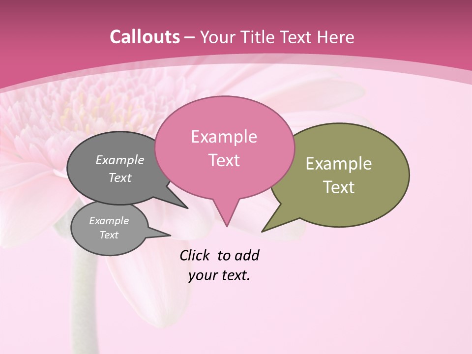 Blossom Circle Gerbera PowerPoint Template