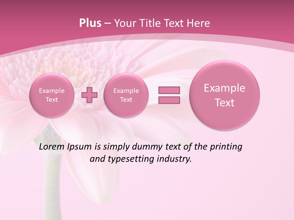 Blossom Circle Gerbera PowerPoint Template