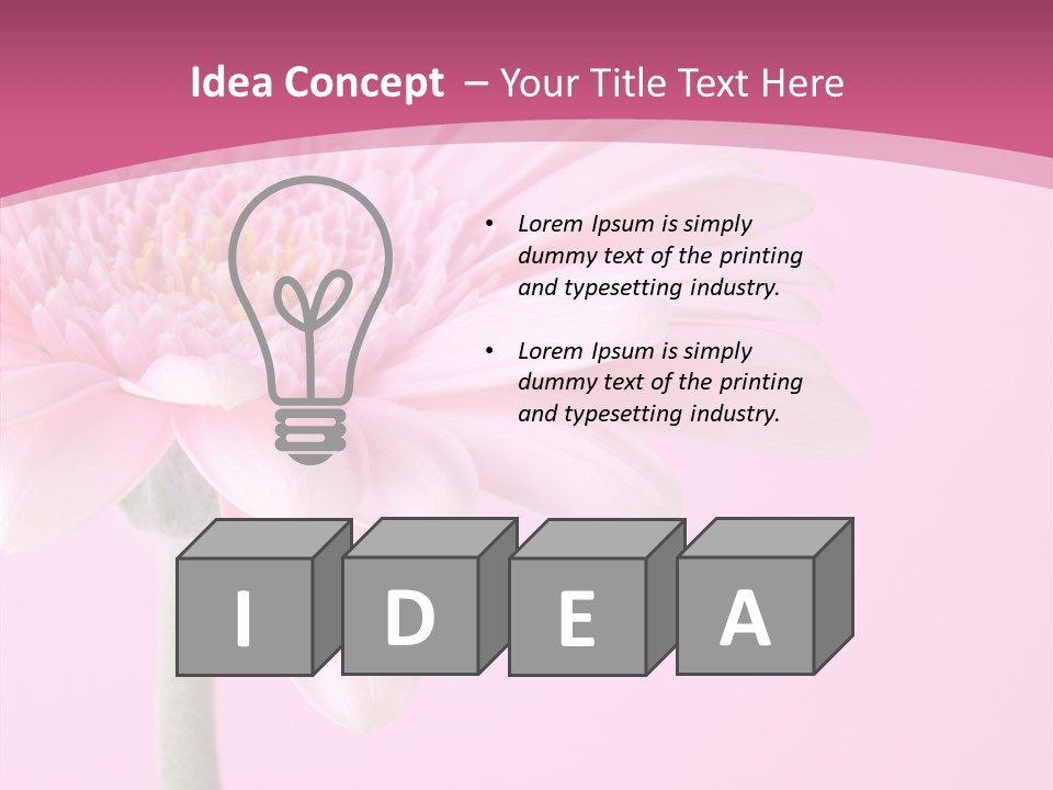 Blossom Circle Gerbera PowerPoint Template