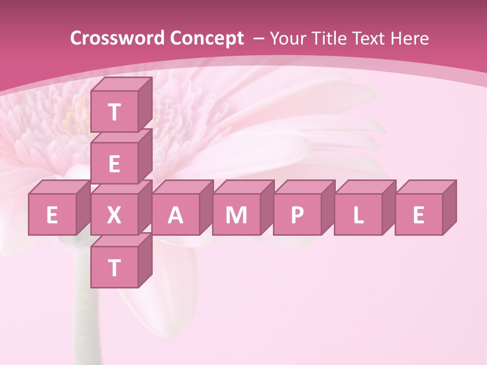 Blossom Circle Gerbera PowerPoint Template