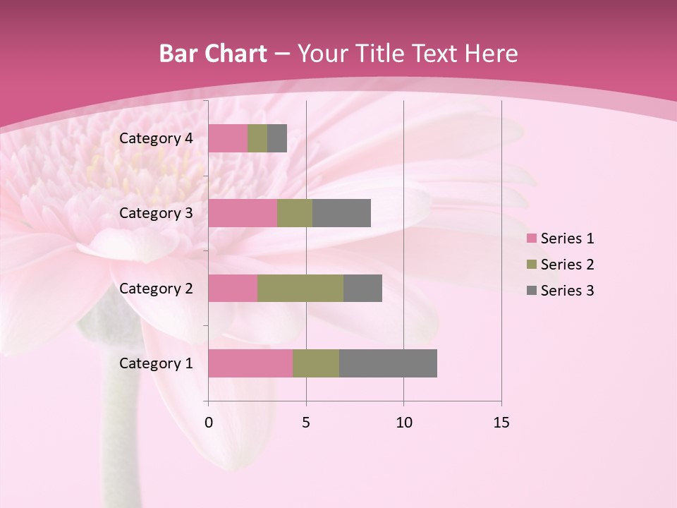 Blossom Circle Gerbera PowerPoint Template