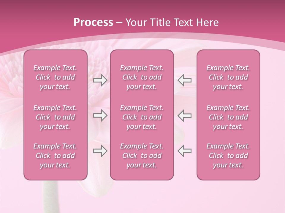 Blossom Circle Gerbera PowerPoint Template