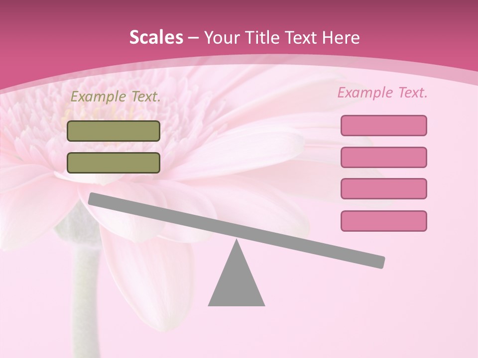 Blossom Circle Gerbera PowerPoint Template