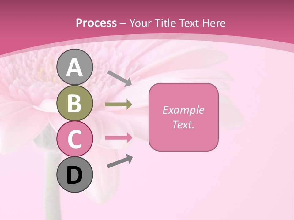 Blossom Circle Gerbera PowerPoint Template
