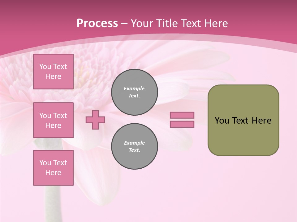 Blossom Circle Gerbera PowerPoint Template