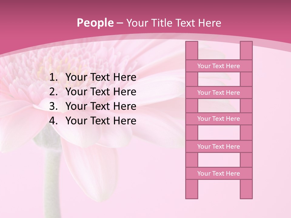 Blossom Circle Gerbera PowerPoint Template