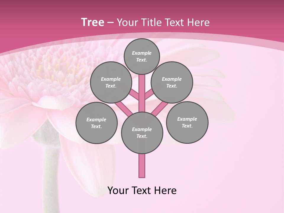 Blossom Circle Gerbera PowerPoint Template